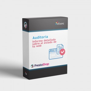 Auditoría Web